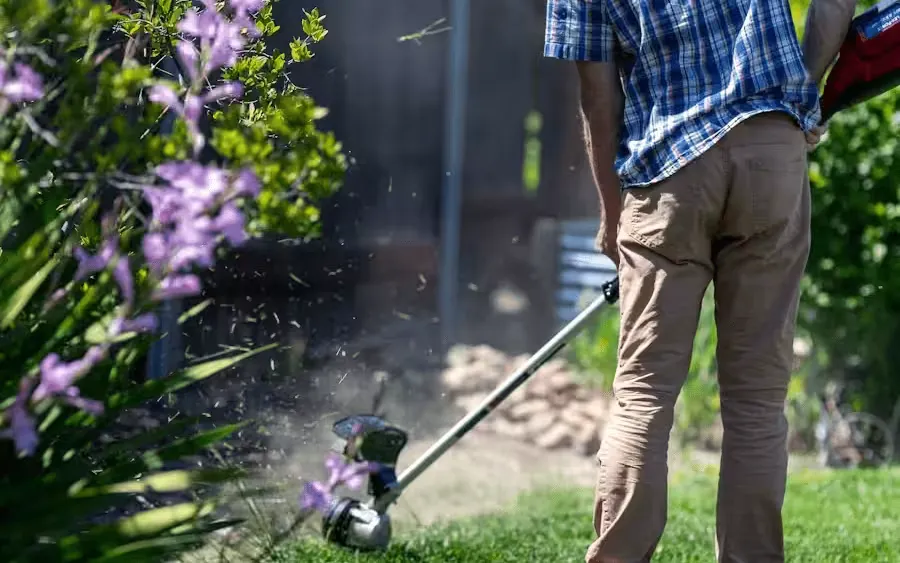 Mowing a lawn with a lawn mower, cutting the grass to a neat finish
